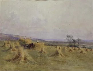 Szüretelés a tenger mellett, Norfolk