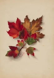 Őszi levelek cím nélkül, 1874.