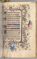 Nemes Károly, navarrai király (1361-1425) órái: fol. 216r, Szöveg