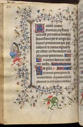 Nemes Károly, Navarra királyának (1361-1425) órái: fol. 43v, Szöveg