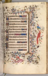 Nemes Károly navarrai király órái 1361-1425: fol. 225r, Szöveg, c. 1405.