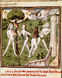 Ádám és Éva a Hölgyek Bajnokának Mesterének (15. század) megvédett gyümölcsét szedik Giovanni Boccaccio (Jean Boccaccio) (1313-1375) „” Des hommes illustres”” kéziratából. 15. század. Carpentras. Inguimbertine Könyvtár