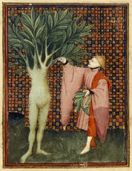 Apollo és Daphne
