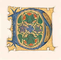 Kezdeti D
