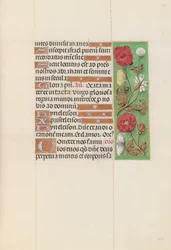 Izabella katolikus királyné, spanyol királynő órái: Fol. 152r, c. 1500.