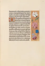 Izabella katolikus királyné, spanyol királynő órái: Fol. 218r, c. 1500.