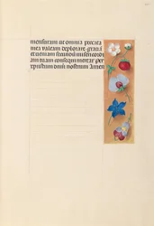 Izabella katolikus királyné, spanyol királynő órái: Fol. 269r, c. 1500.