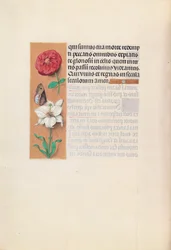 Izabella katolikus királynő, Spanyolország királynőjének órái:  Fol. 76v