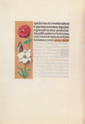 Izabella katolikus királyné, spanyol királynő órái: Fol. 76v, c. 1500.
