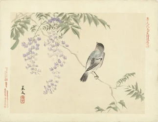 Madár a wisteria ágon Virág- és madárvázlatok Keibunból – harmadik rész (sorozat címe) Keibun kacho gafu kohen (sorozat címe a tárgyon)