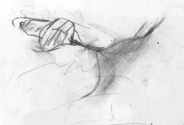 crease, 2007 (szén)