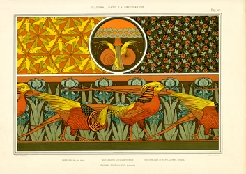 Dekoratív díszítő minták fácánokkal, madarakkal és katicabogarakkal (litó)