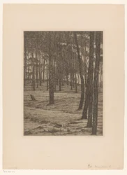 Dennenbosch I (eredeti cím a tárgyon) Bos (eredeti cím)