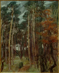 Hermsdorfer Wald egy szürke napon