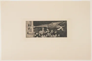 Elrablás, 1881