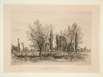 Dans les champs de C?non (In the Fields of C?non)