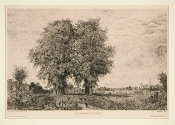 The Elms of C?non