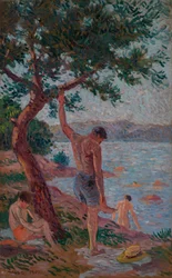 Saint-Tropez, úszók a fenyőerdő alatt