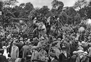 Elefántlovaglás a Londoni Állatkertben, 1926-1927