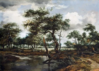 Tó az erdőben, 1668