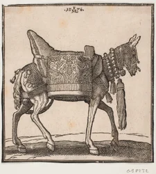 Egy pompásan felszerelt öszvér, profil h felé.