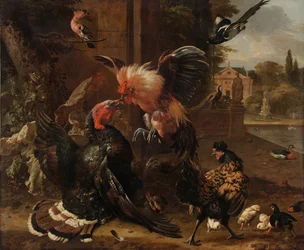 Verekedő kakas és pulyka, 1680 körül.