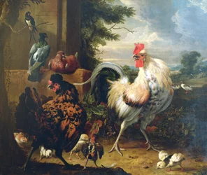 Tanyasi szárnyasok