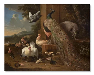 Állatsereglet, 1680 körül