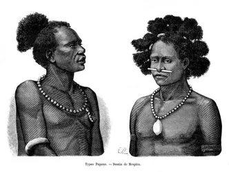 Pápua típusok, XIX
