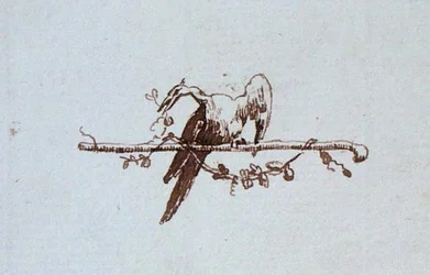 Rajz Michael Faraday vendégkönyvéből (toll és tinta papíron)