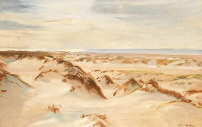 Dűnék, Skagen.