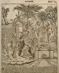 Ádám és Éva, illusztráció Hartmann Schedel (1440-1514) „Liber Chronicarum” című művéből, Nürnbergben, 1493