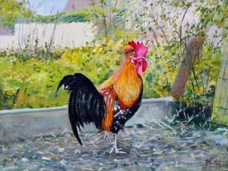 Le Coq Lico, 2003 (olaj, karton)