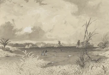 A Pitch Lake