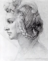 Ideális nőfej, 1525-28 körül (fekete kréta papíron)