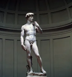 Michelangelo Dávidja, 16. század