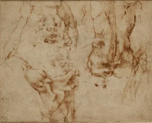 Akt tanulmányok, c1490-1560
