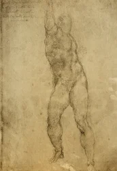 Akt tanulmány, Michelangelo rajza. Gallerie dellAccademia, Velence