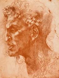Szatírfej; Michelangelo rajza. Louvre, Párizs