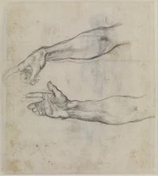 Egy kinyújtott kar tanulmánya a Sixtus-kápolna "Noé részegsége" című freskójához, 1508-09 körül (fekete kréta, papír).
