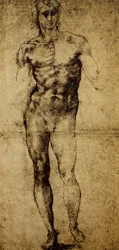 Tanulmány férfi aktfigurához, Michelangelo Buonarroti (1475-1564), rajz, Párizs, Louvre Múzeum
