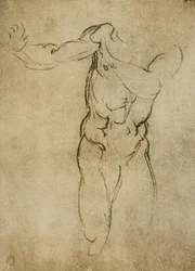 Tanulmány egy férfias mellszoborhoz, Michelangelo rajza. Casa Buonarroti, Firenze