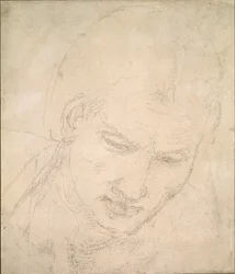 Tanulmány egy fejről, c1490-1560