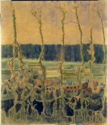 Nyár (I)