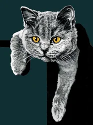 Flora The Kitten a Deep Cyan-on, 2020