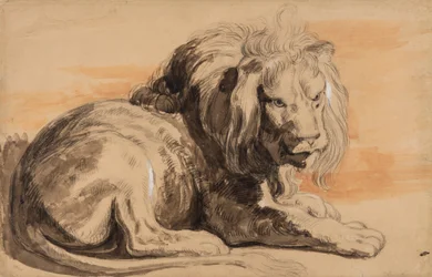 A Rubens-oroszlán, 1840 körül (kréta, wc és gouache barna papíron)