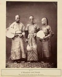 A mandarin és barátai