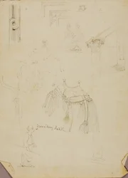 Dromedár nyereg/Studies