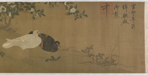 Kaméliák, galambok és énekes madarak