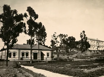 „Birodalom építése” a fasiszta korban: Asmarai tisztviselők köre, 1936.09.05. (f/w fotó)